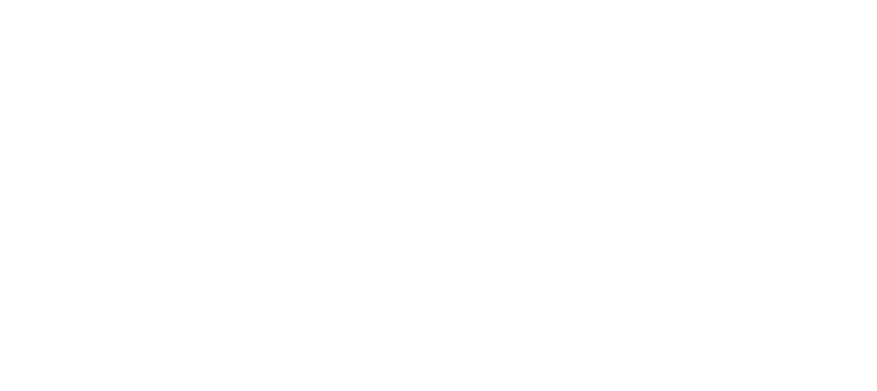 Web Whiz Asia